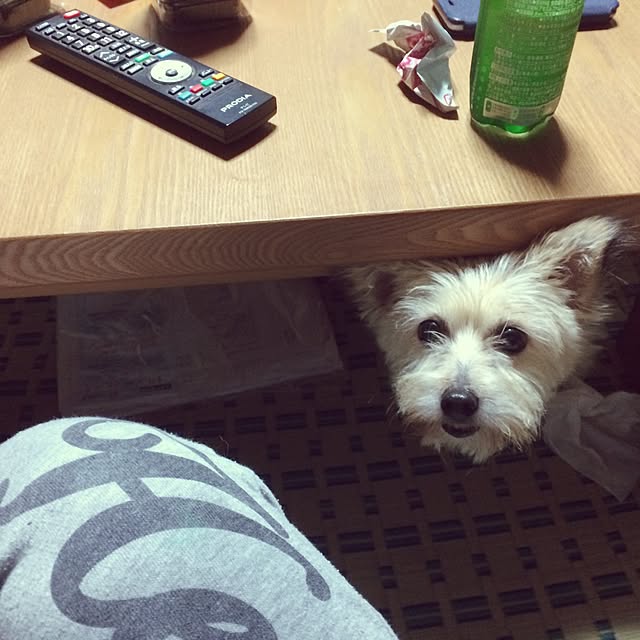 sykさんの実例写真