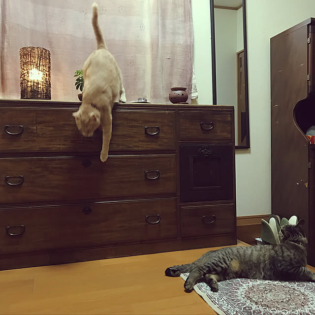 mikan161さんの実例写真