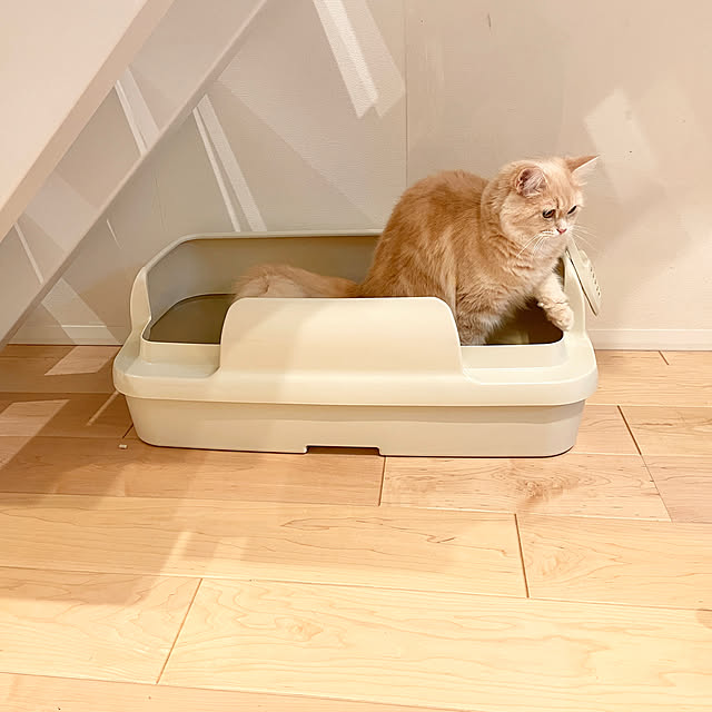 kさんの実例写真