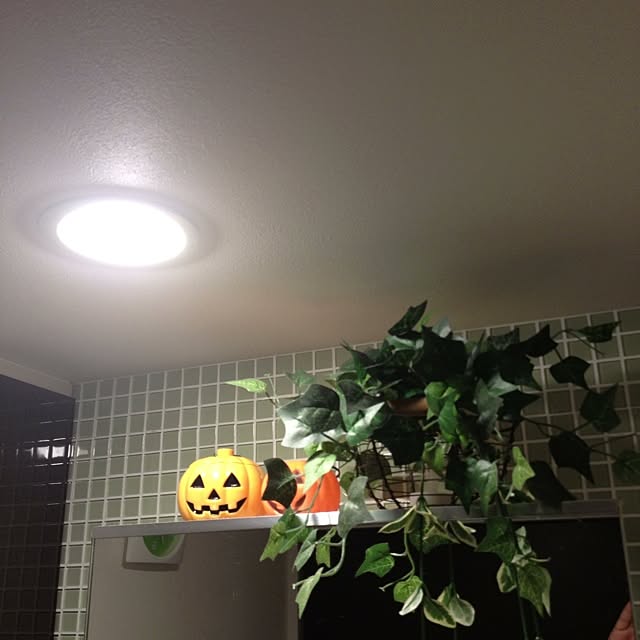 cocotaroさんの実例写真