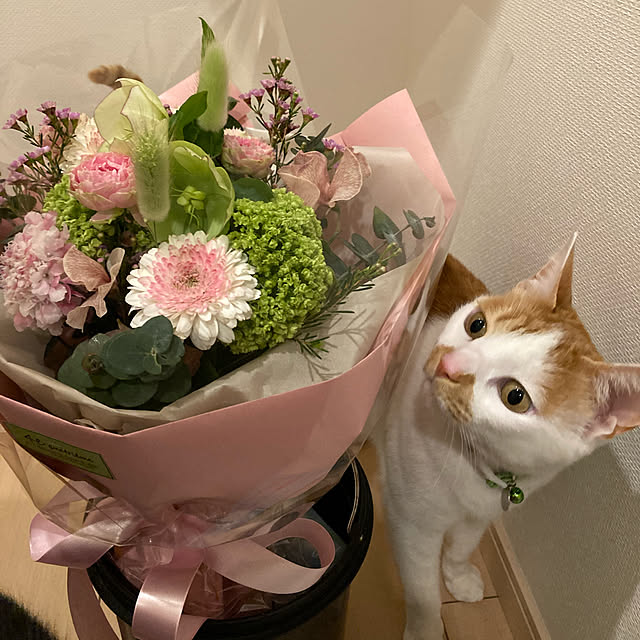 Gomaさんの実例写真