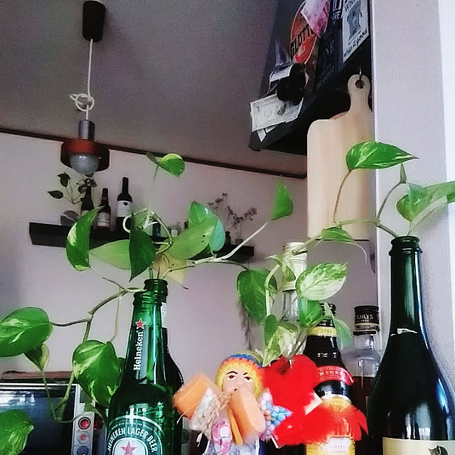 mikoさんの実例写真