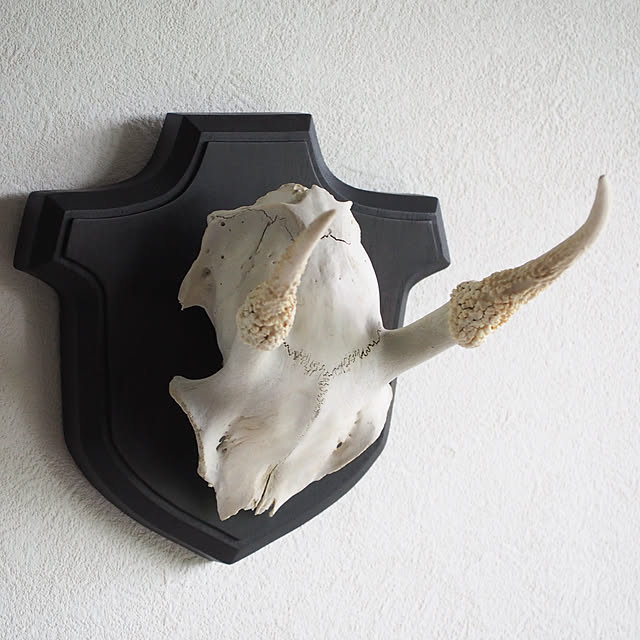 Akiy15さんの部屋