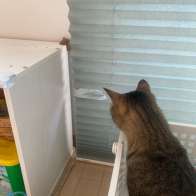 mikomaruさんの実例写真