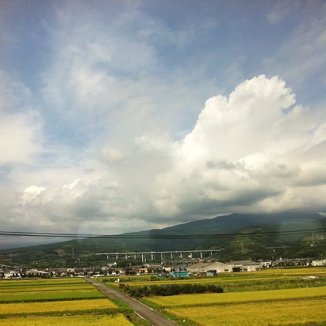 happy_bridgeさんの実例写真