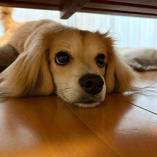 maryさんの実例写真