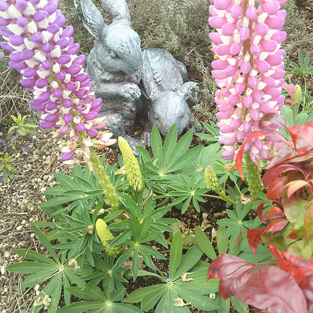 eriponさんの実例写真