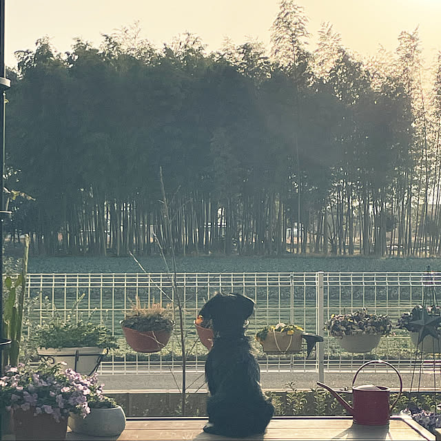 marinkoさんの実例写真