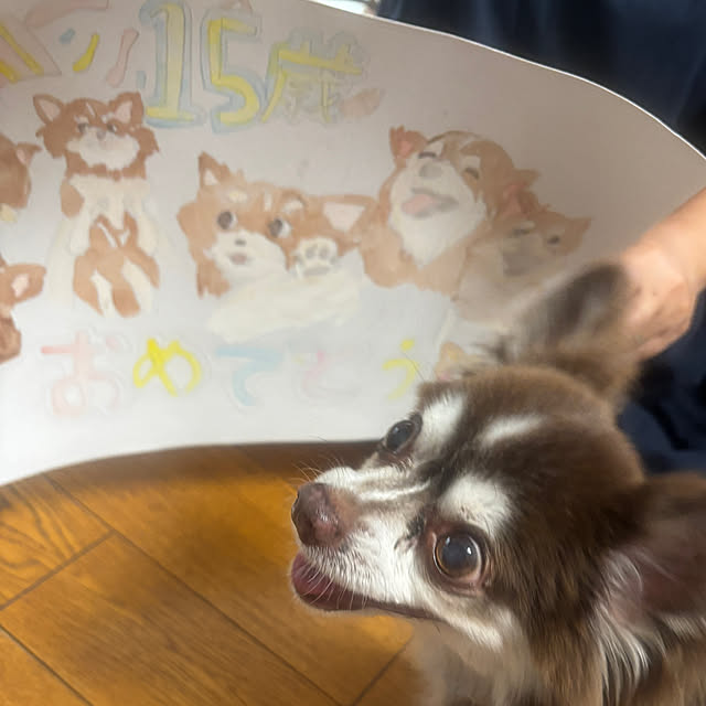 chIoeさんの部屋