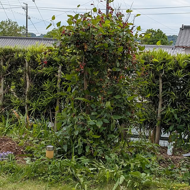fuchan0930さんの部屋
