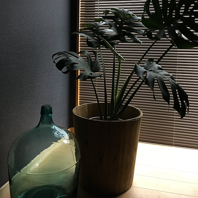 leonさんの実例写真
