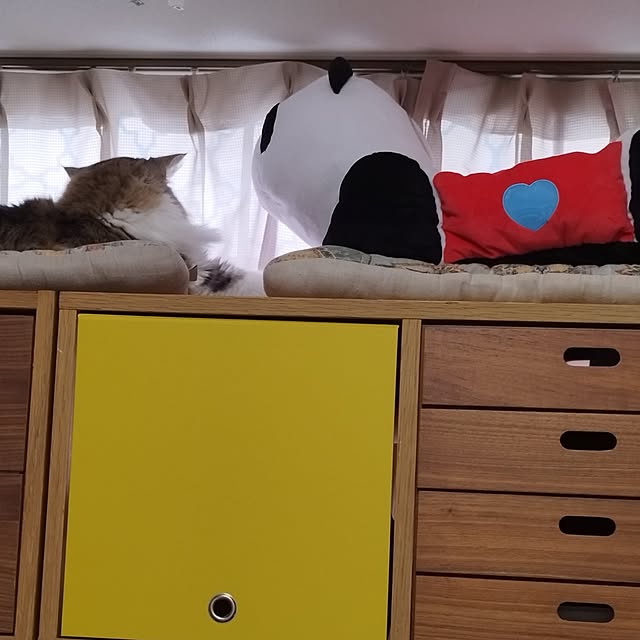 Yさんの実例写真
