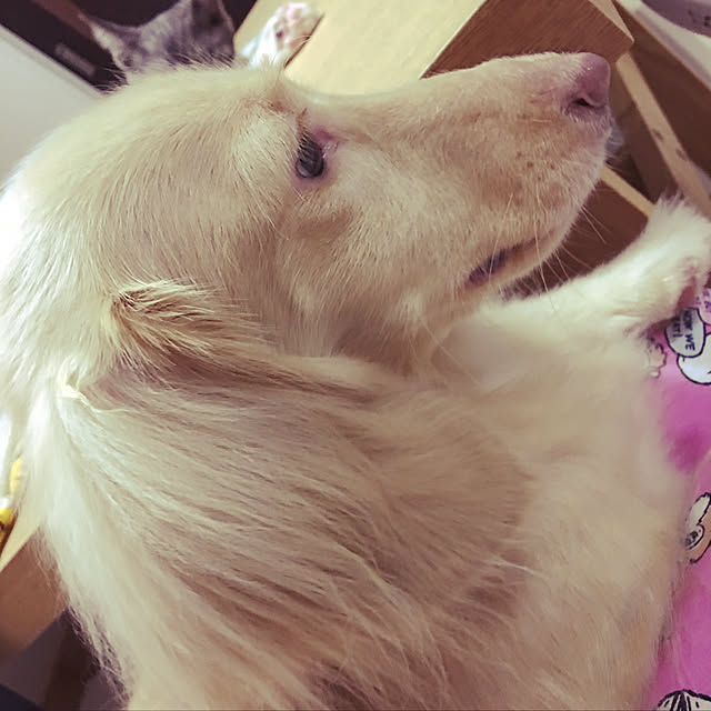 NEREさんの実例写真