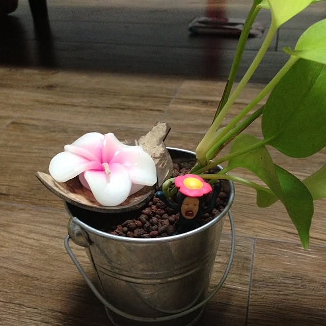 roroさんの実例写真
