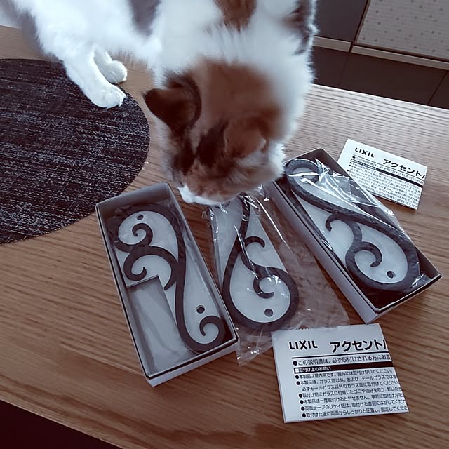 +CHIHARU+さんの部屋