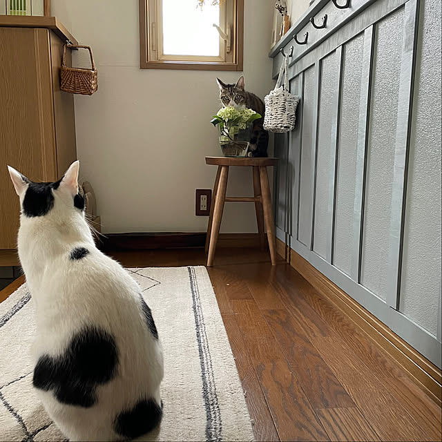nobikoさんの部屋