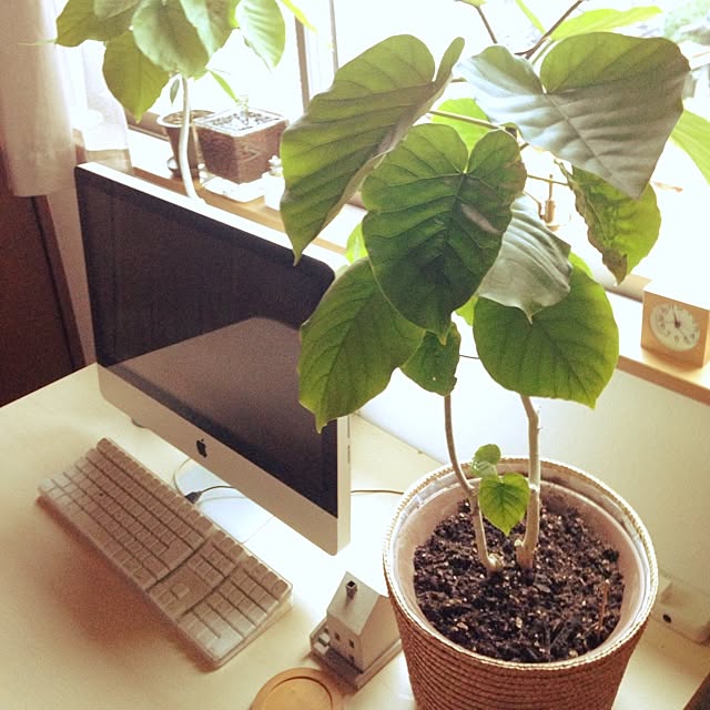Take-4さんの実例写真