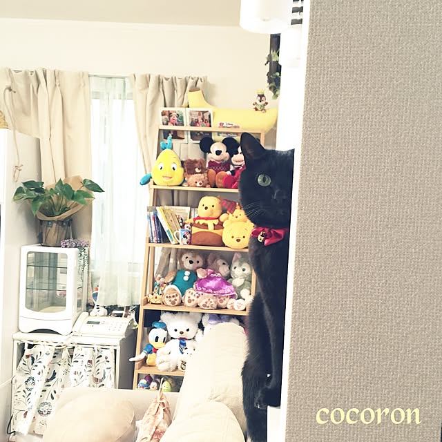 cocoronさんの実例写真