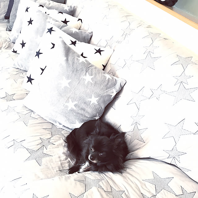eriさんの実例写真
