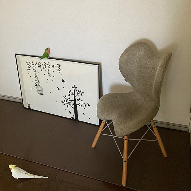 toratanさんの実例写真