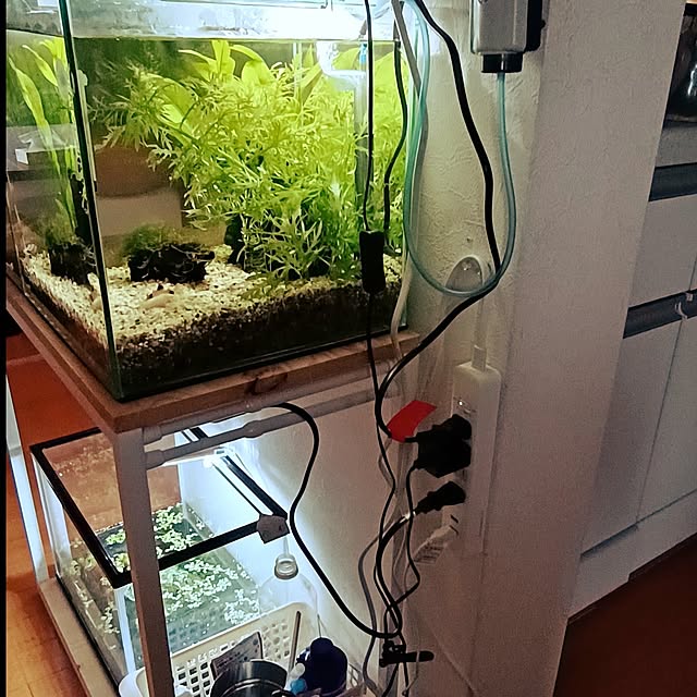 soyokoさんの部屋