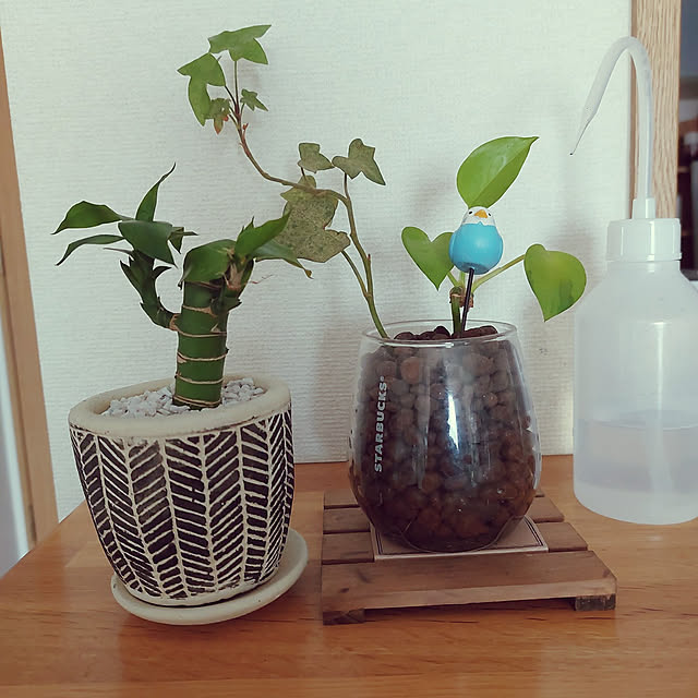 miyocoさんの実例写真