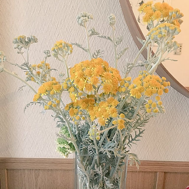 hanioさんの実例写真