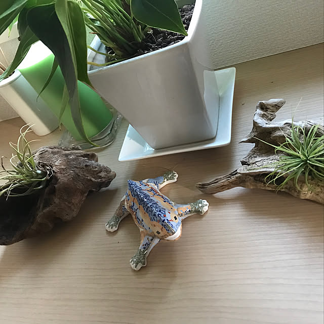 non_comさんの実例写真