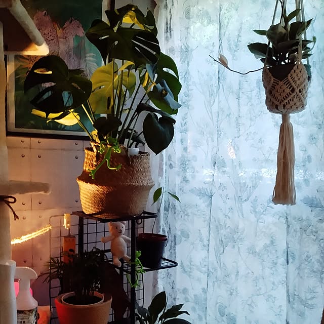 runaさんの部屋