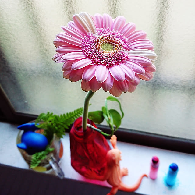 kikuさんの実例写真