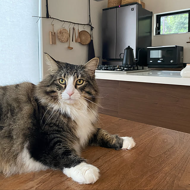 tongarihouseさんの実例写真