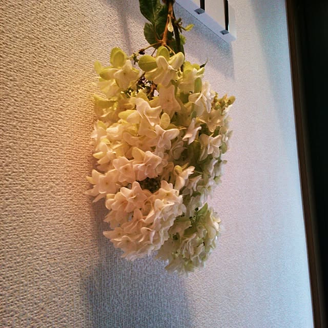 kurochan1109さんの実例写真