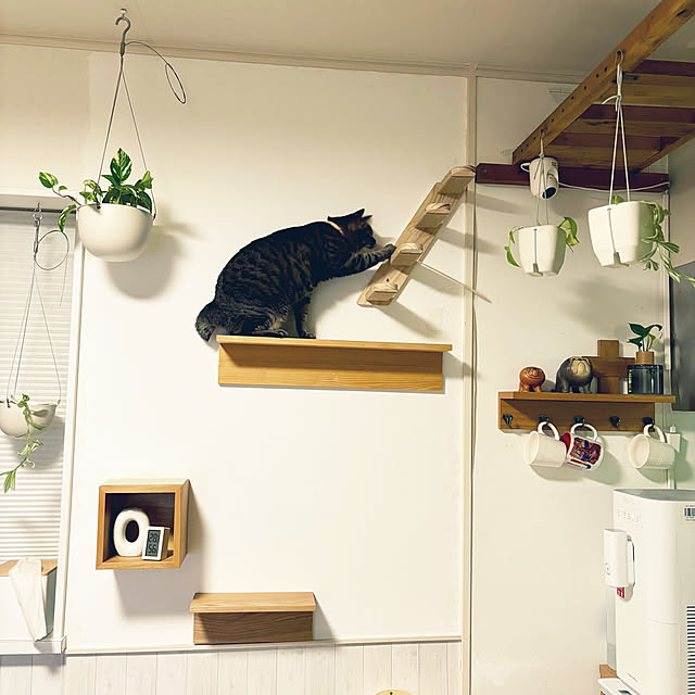 masamasaさんの部屋