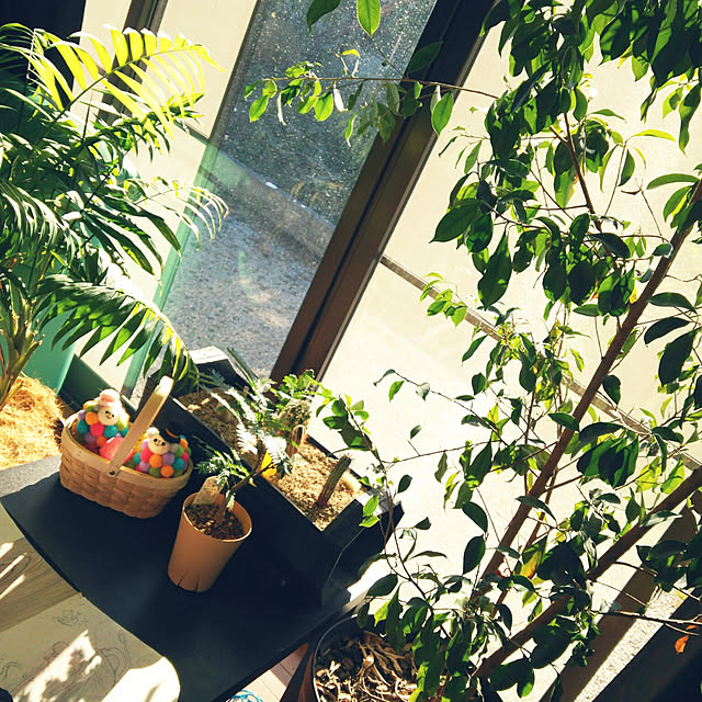 sunflowerさんの実例写真