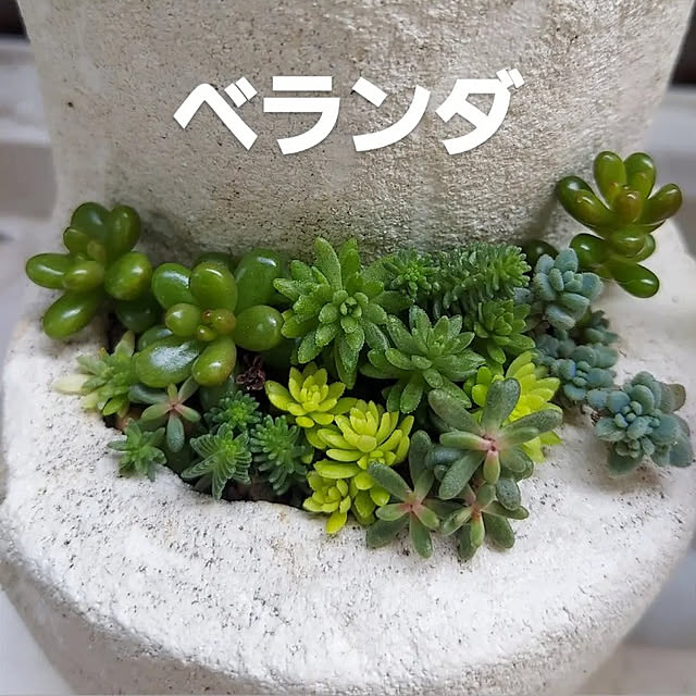 chiyumiさんの実例写真
