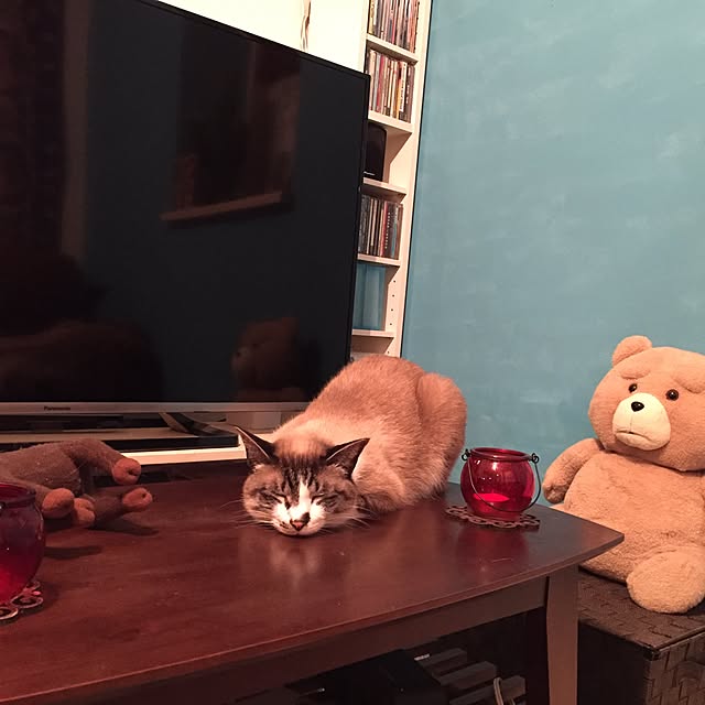 bowbowcoさんの実例写真