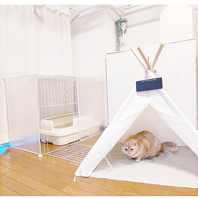 heart.emiemi57.whiteさんの実例写真