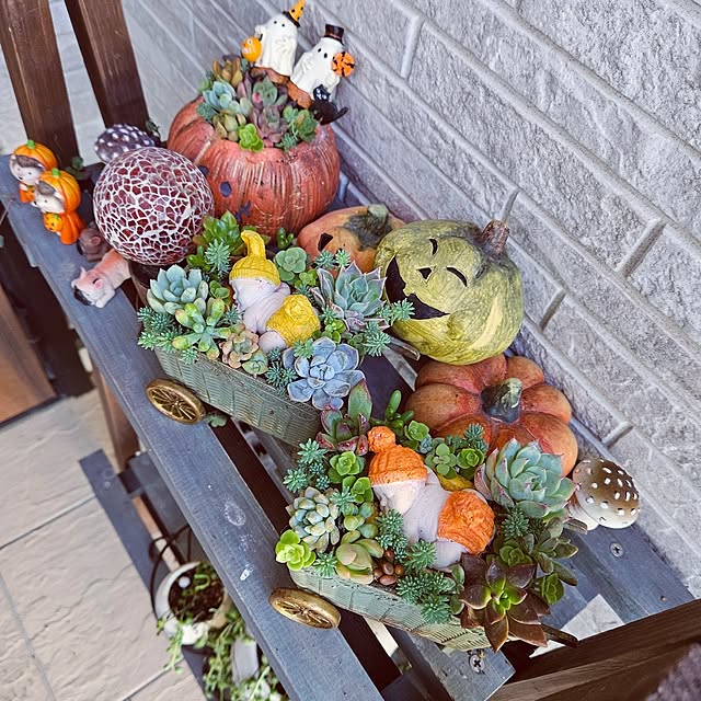 mocomocoさんの部屋