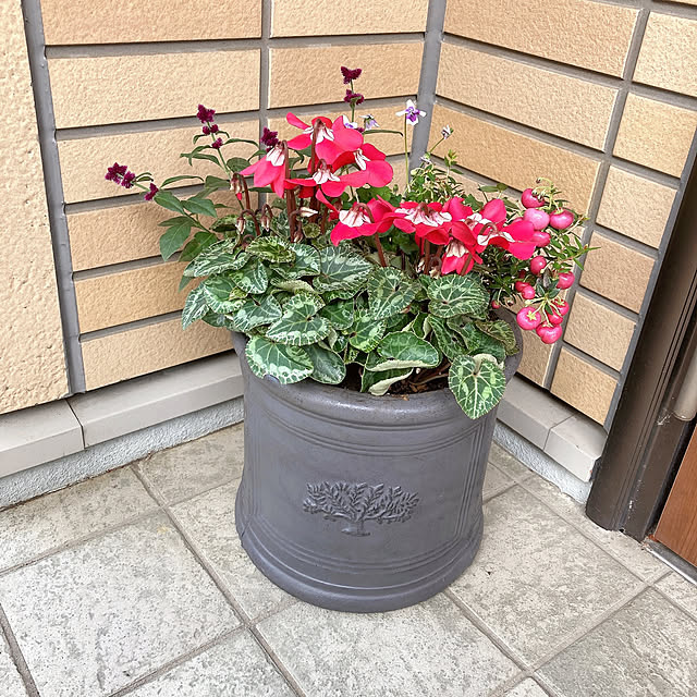 kotoripさんの実例写真