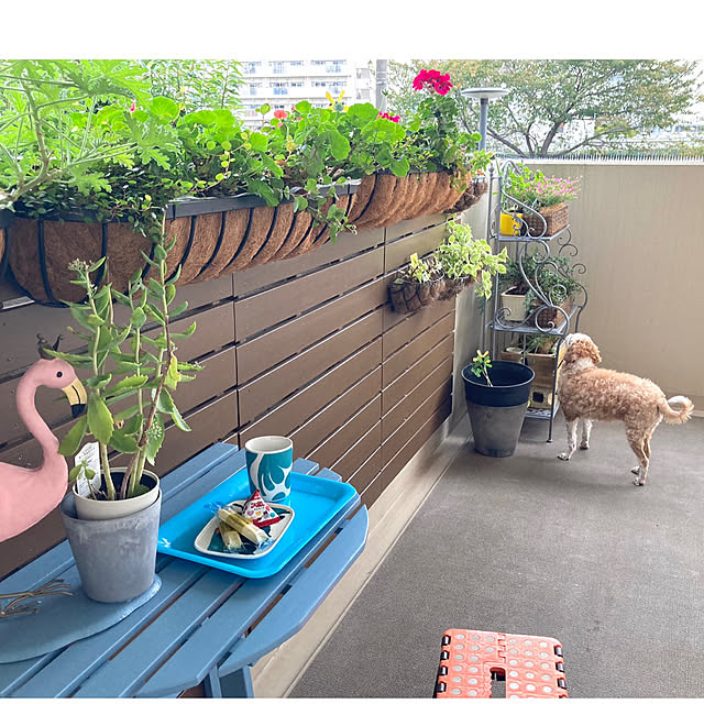 marukoさんの部屋