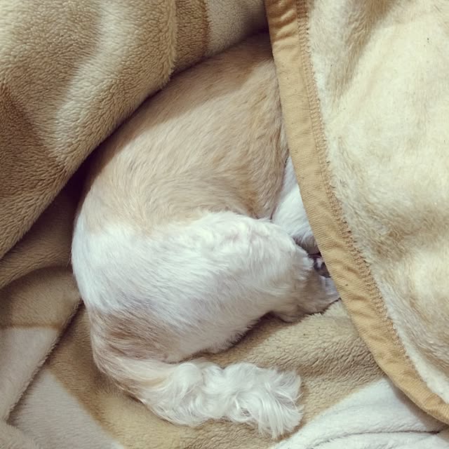 lenkaさんの実例写真