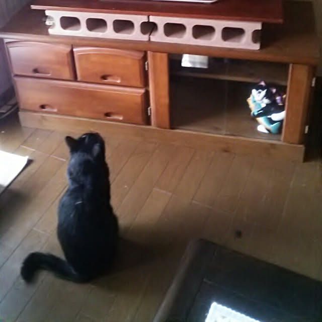 Tomopさんの実例写真