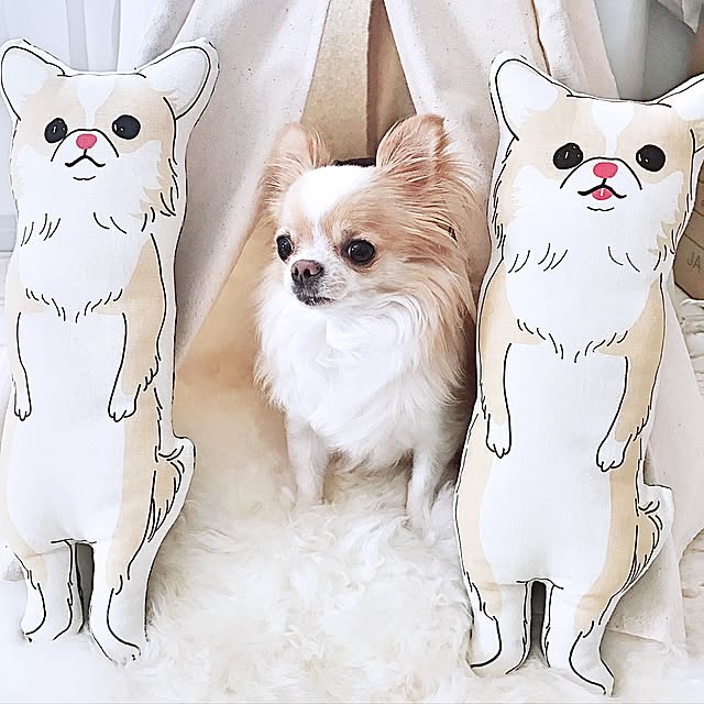 ponyoさんの実例写真