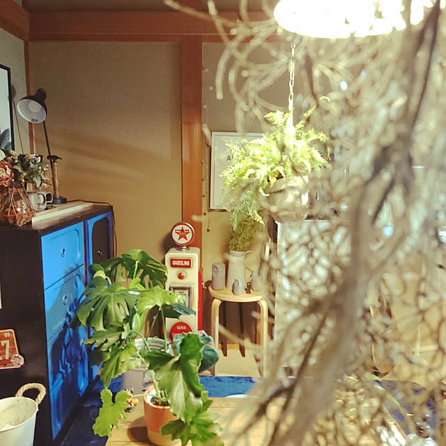 tomo0813さんの実例写真