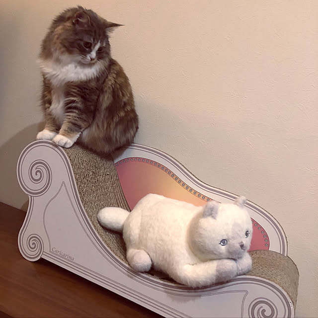 kikiさんの実例写真