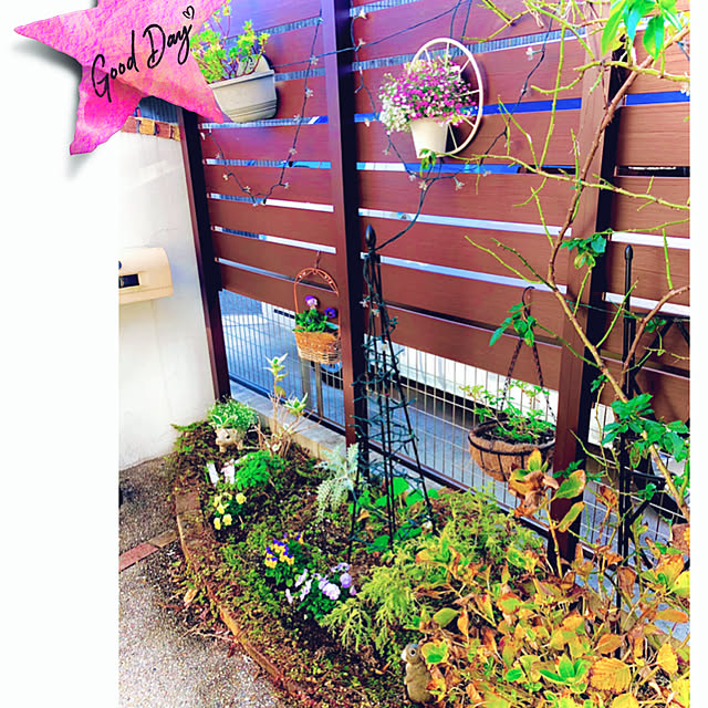 hinamamaさんの実例写真
