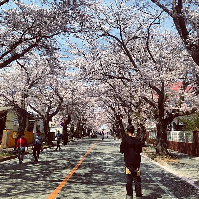 実例写真