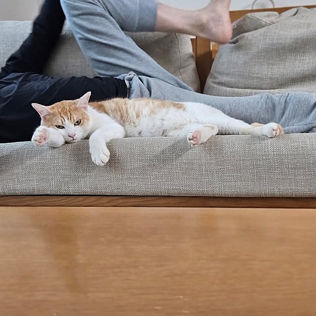 koyurizuさんの部屋