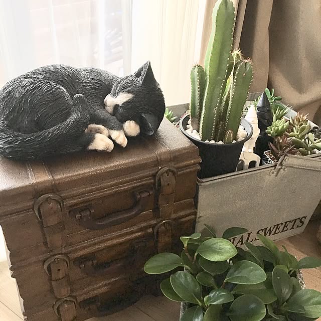 Aimableさんの実例写真