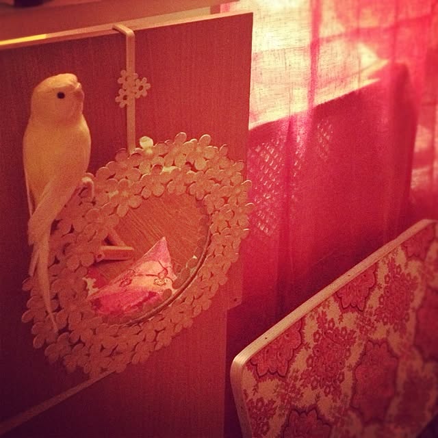 a01さんの実例写真